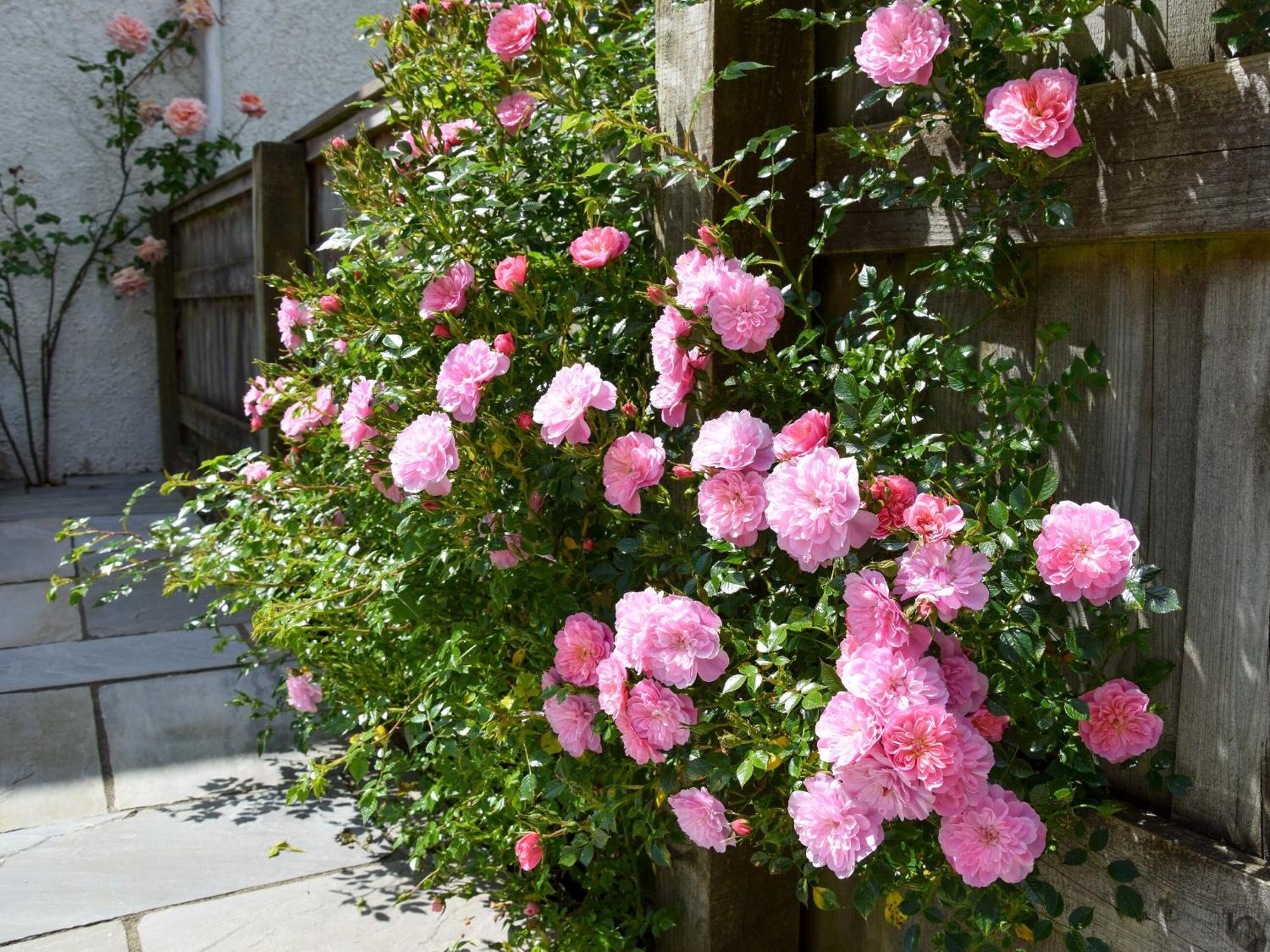 Sweet Briar - 8234 Βίλα Bridport Εξωτερικό φωτογραφία